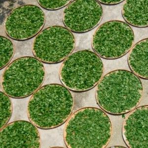 Meet your Posher, Mary